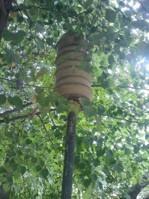 Прикрепленное изображение: я.JPG